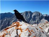 Parkirišče Alpspitzbahn - Alpspitze